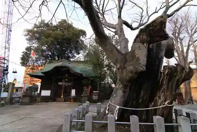 阿邪訶根神社の本殿・本堂