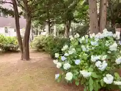 北広島市総鎮守　廣島神社(北海道)