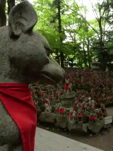 豊川閣　妙厳寺の狛犬