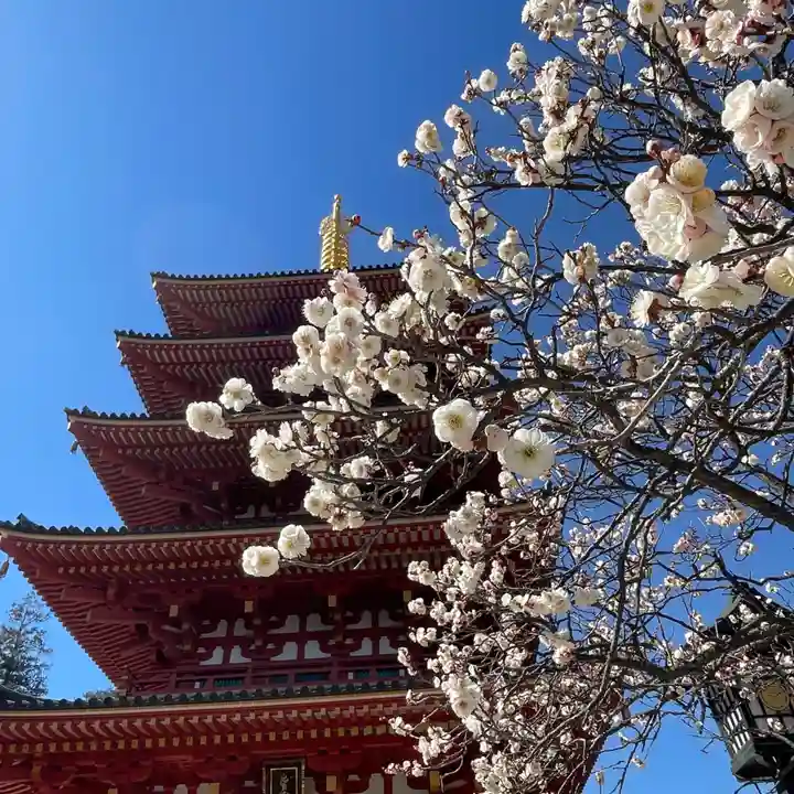 高幡不動尊 金剛寺(東京都)