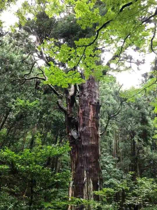寳光院(新潟県)