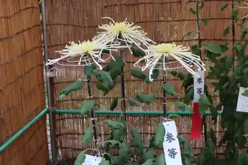 高麗神社のその他建物