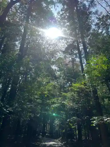 伊勢神宮内宮（皇大神宮）の{uncategorized: "未分類", other: "その他", undefined: "問題あり", building: "その他建物", grave: "お墓", sacred_gate: "鳥居", guardian: "狛犬", statue: "像", buddha: "仏像", history: "歴史", nature: "自然", garden: "庭園", animal: "動物", pagoda: "塔", temizu: "手水舎", mountain_gate: "山門・神門", sanctuary: "本殿・本堂", subordinate: "末社・摂社", art: "芸術", scenery: "景色", jizo: "地蔵", ema: "絵馬", goshuin: "御朱印", omikuji: "おみくじ", items: "授与品その他", amulet: "お守り", goshuincho: "御朱印帳", eats: "食事", festival: "お祭り", votive_dance: "神楽", shichigosan: "七五三参", wedding: "結婚式", experience: "体験その他", initially: "初詣", around: "周辺", anti_infection: "感染症対策"}
