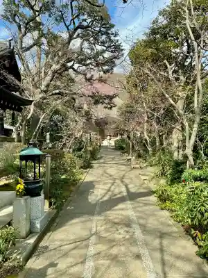 無量寺(東京都)