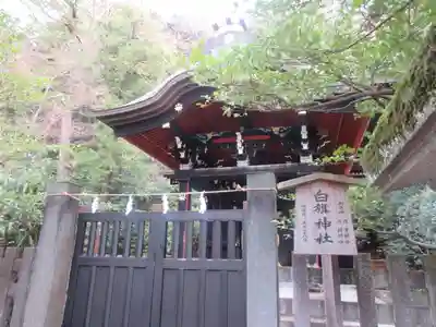 鶴岡八幡宮の本殿・本堂