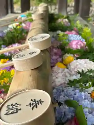 群馬県護国神社(群馬県)