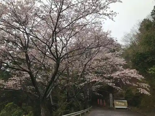 観音正寺の自然
