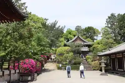 唐招提寺(奈良県)