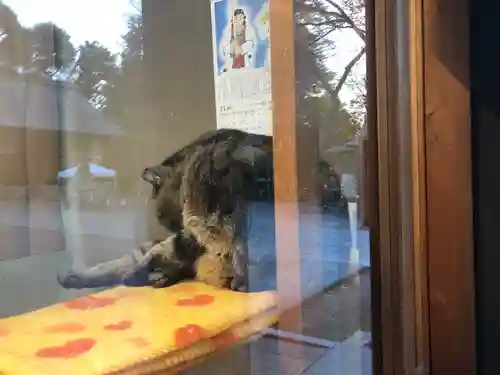 所澤神明社の動物