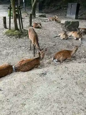 四宮神社(広島県)