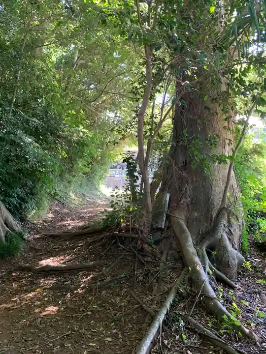 子安神社(千葉県)