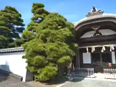 五社神社　諏訪神社(静岡県)