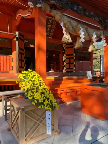 富士山本宮浅間大社の本殿・本堂