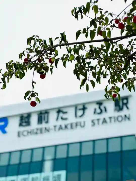 岡太神社・大瀧神社(福井県)