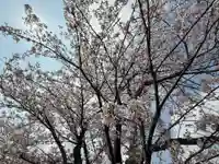 西方山極楽寺(岐阜県)