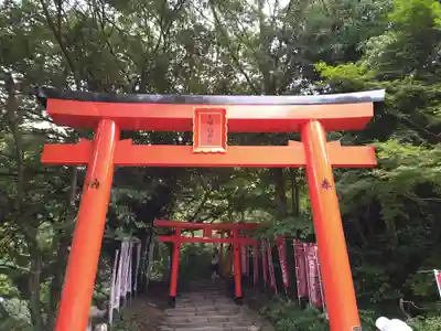 天開稲荷社の鳥居