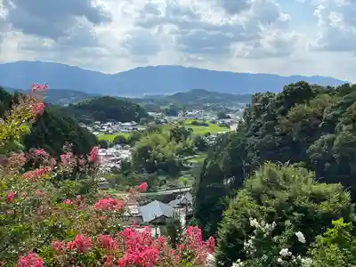 岡寺(龍蓋寺)(奈良県)