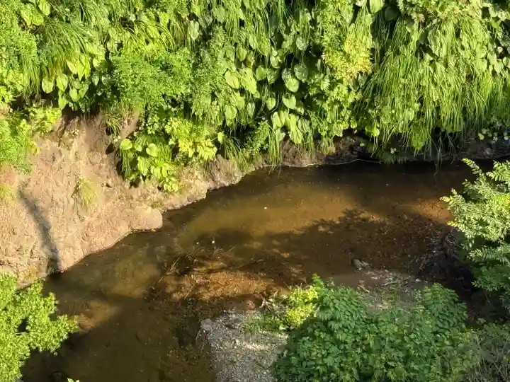 高龍神社(新潟県)