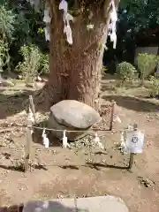 江島神社の建物その他