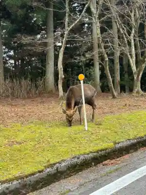 比叡山延暦寺(滋賀県)