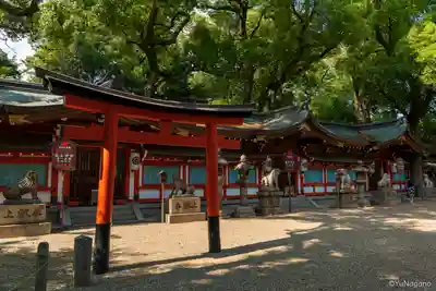 杭全神社(大阪府)