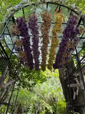 江島神社(神奈川県)