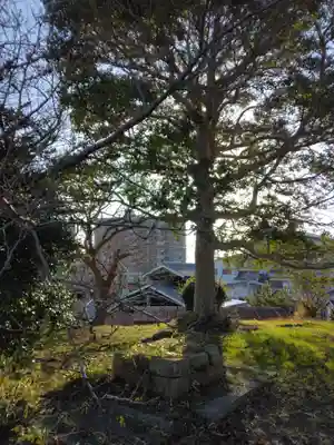 住吉神社(兵庫県)