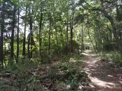 賀茂別雷神社(栃木県)
