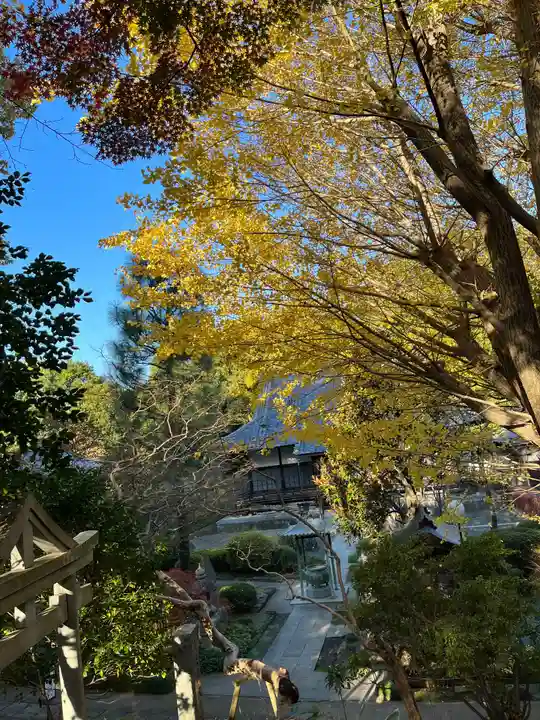 天台宗 長窪山 正覚寺の自然