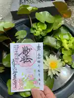 妙蓮寺(神奈川県)