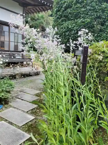 法善寺(埼玉県)