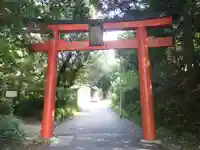 竹中稲荷神社(吉田神社末社)の鳥居