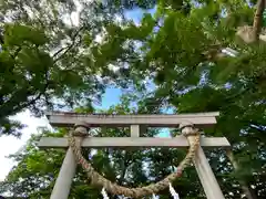 白鳥神社の鳥居