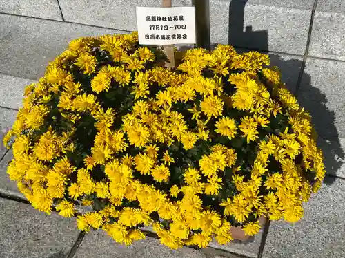 高麗神社(埼玉県)