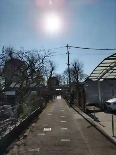 青柳稲荷神社の鳥居