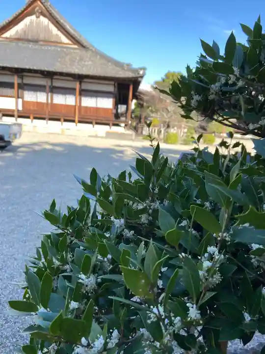 西大寺の本殿・本堂