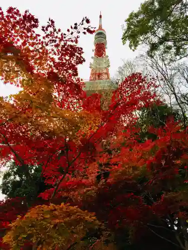 増上寺塔頭 三縁山 宝珠院の景色