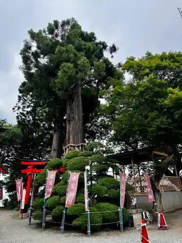 愛宕神社(宮城県)