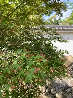 一乗寺(兵庫県)