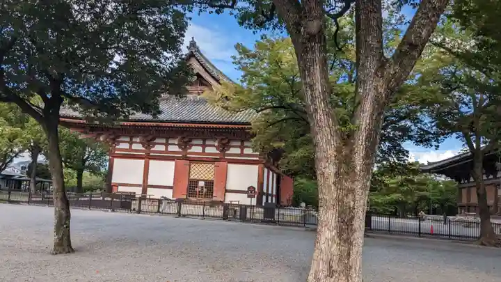東寺(教王護国寺)の本殿・本堂
