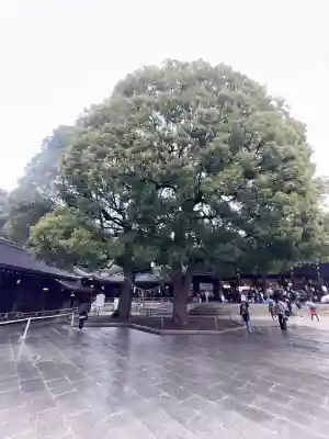 明治神宮(東京都)