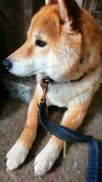 感通寺(東京都)