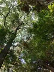 天満神社の自然