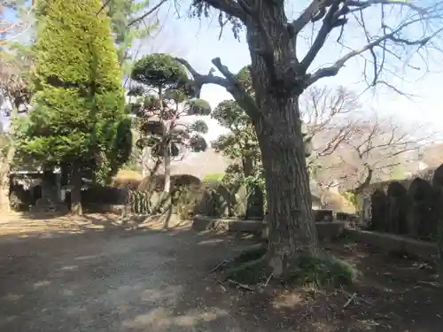 乗蓮寺(東京都)