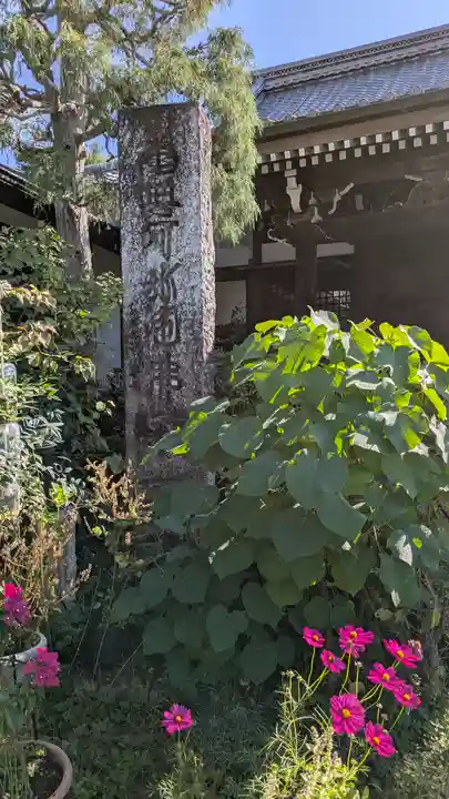 乘願院(京都府)