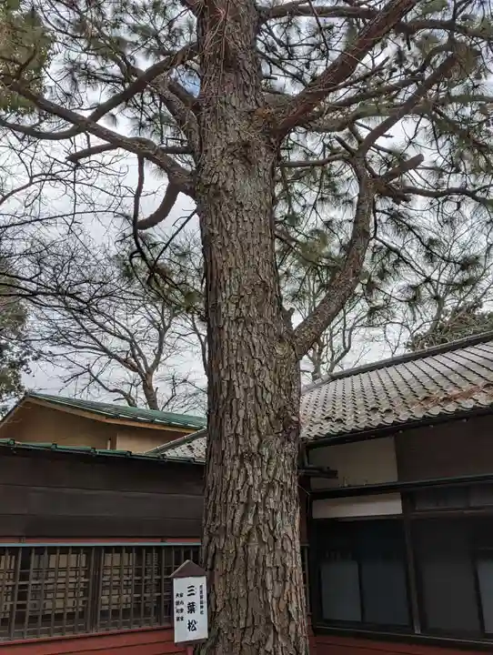前原御嶽神社(千葉県)