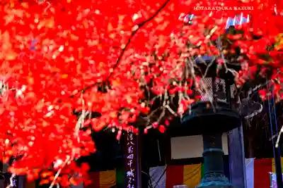 最乗寺（道了尊）(神奈川県)