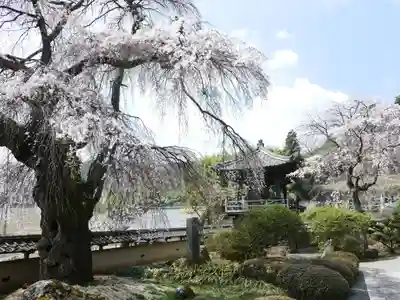 福王寺のその他建物