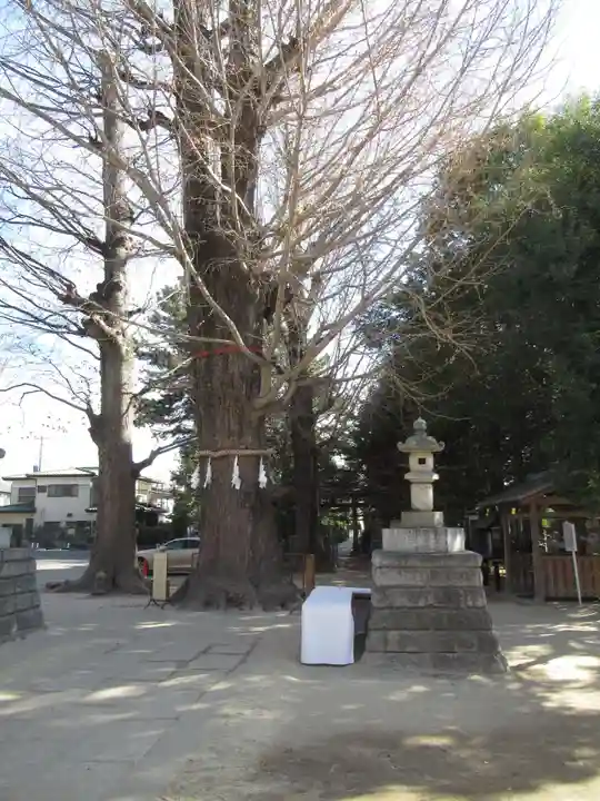 春日部八幡神社(埼玉県)