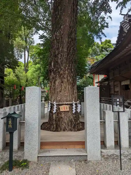 田無神社(東京都)